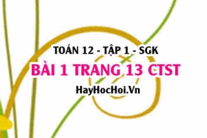 Bài 1 trang 13 Toán 12 tập 1 Chân trời sáng tạo